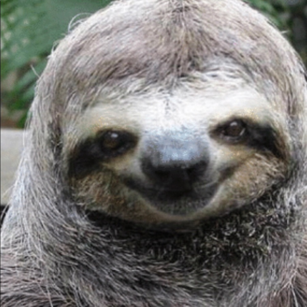 Meet your Posher, Naqiba